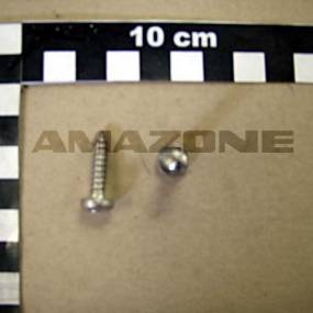 Blechschraube Iso 7049 5,5X22 C-H Va Amazone DD433