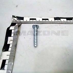 Halbrundkopfschraube 5X30 Tx20 10.9 Vz Amazone DD653