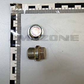 Verschlussschraube Amazone YY00017