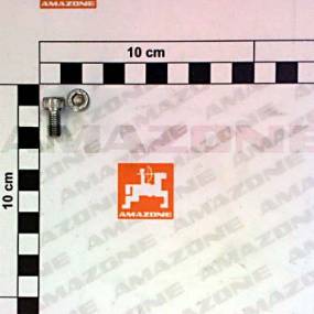 Zylinderschraube Iso 4762 6×12 8.8 Vz (Da114) Amazone