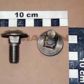 Flachrundschraube Din 603 12X30 Va Amazone DA368