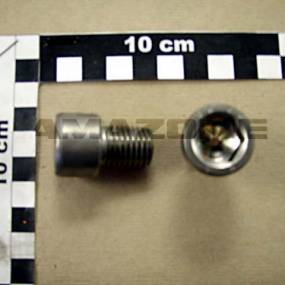 Zylinderschraube Iso 4762 16X30 Va Amazone DA719