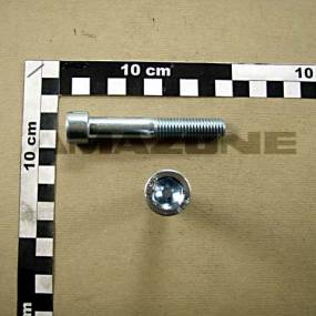 Zylinderschraube Iso 4762 12X75 8.8 Vz Amazone DA767