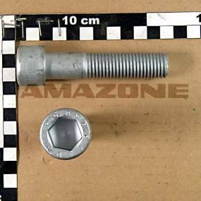 Zylinderschraube Iso 4762 20X (Da911) Amazone DA911