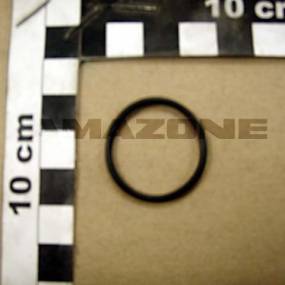 O-Ring 24,00X2,00 (Y100247960) Amazone