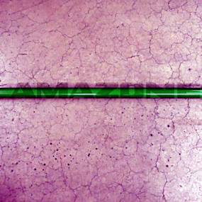 Halterohr Unten Amazone 952997