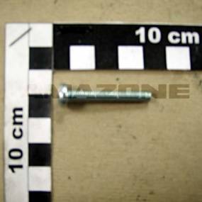 Flachkopfschraube Iso 7045 5×35 H 4.8 Vz (Dd255) Amazone