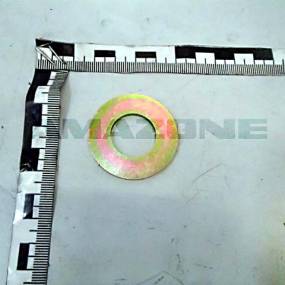 Scheibe (970722) Amazone