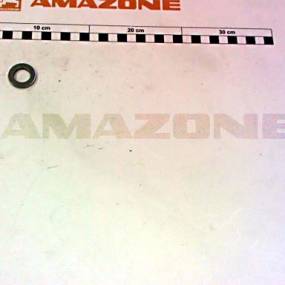 Scheibe Iso 8738 16X24X3 St Amazone DF065