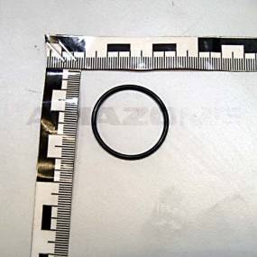 O-Ring 29,00X2,00 (Fc463) Amazone