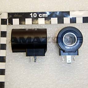 Magnet Amazone Y400280255