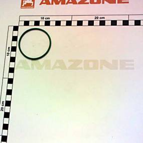 O-Ring 55,2X2,6 Amazone YY00751