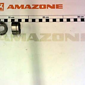 Fuehrung I Amazone 913531