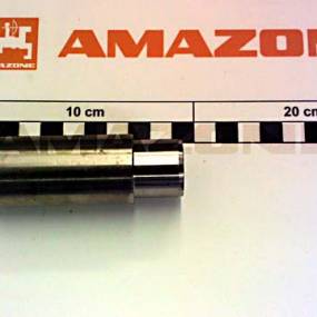 Buchse Amazone 997991