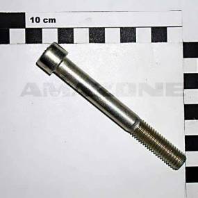 Zylinderschraube Iso 4762 12×100 10.9 Vz (Da564) Amazone