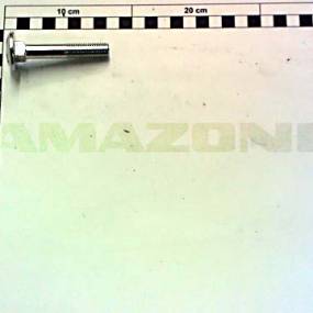 Flachrundschraube Din 603 12X70 8.8 Vz Amazone DA863