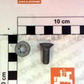 Senkschraube Iso 14581 8X22 10.9 Vz Amazone DD768