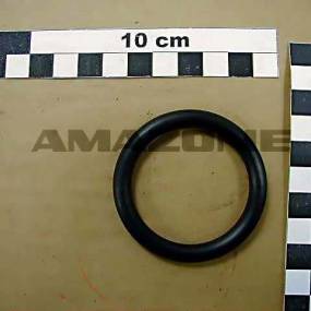 O-Ring 45,00X7,00 Amazone FC154
