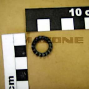 Faecherscheibe A10,5/6798 Fst Amazone Y0254141190