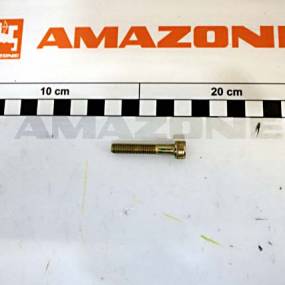 Zylinderschraube Iso 4762 6X35 8.8 Vz Amazone DA262