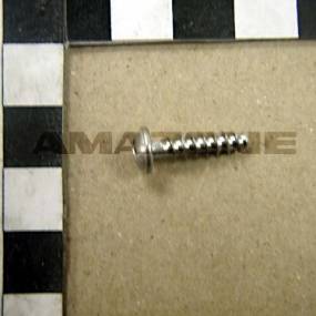 Halbrundkopfschraube 4×16 Tx20 Va (Dd489) Amazone