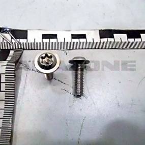 Halbrundkopfschraube Din 34805-2 6×20 Tx30 Va (Dd641) Amazone