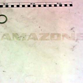 O-Ring 28,00X3,50 Amazone FC215