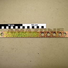 Spanneisen F.lg. Schar (B10) Amazone 3942100