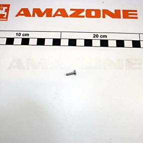 Halbrundkopfschraube 3X10 Tx10 Va Amazone DD589