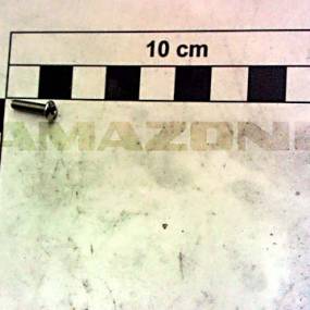 Halbrundkopfschraube Din 34805-1 3X12 Tx10 Va Amazone DD703