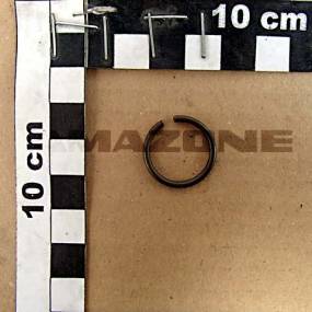 Sprengring Din 9925 20 Fst Amazone DL117