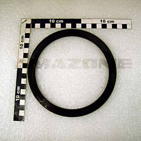 Stuetzscheibe Din 988 140X170X3,5 Amazone DL273