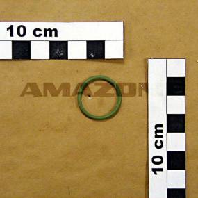 O-Ring 20,00X2,00 Amazone FC061
