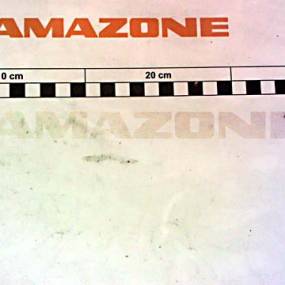 O-Ring 17X1,8-N Amazone Y2116921