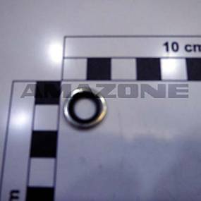 Schliesssatz Amazone YY00602