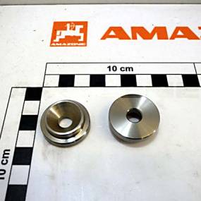 Scheibe Amazone 100009