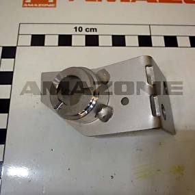 Aufnahme Poti Amazone 105675