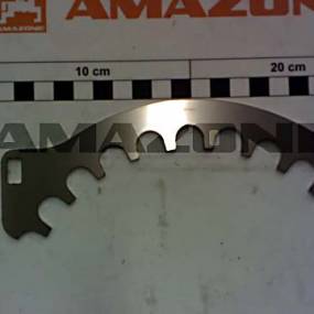 Fuehrung Amazone 218579