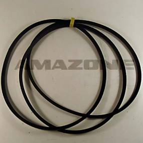 Keilriemensatz Amazone 938770