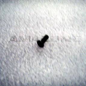 Senkschraube Iso 10642 5X16 Va Amazone DD516