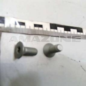 Senkschraube Iso 14581 8×20 10.9 Vz (Dd644) Amazone