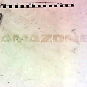 Spannstift Iso 8752 8X 50 St Amazone DI072