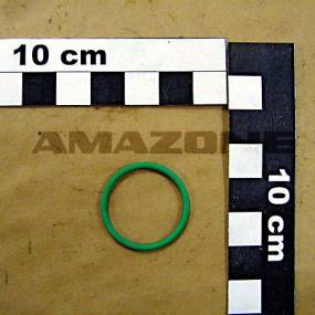 O-Ring 22,00X2,00 Amazone FC009