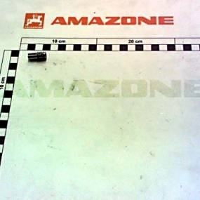 Anker M. Feder Amazone YY01061