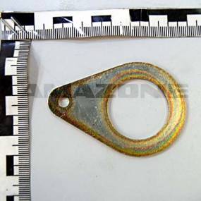 Blech Amazone 208158