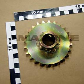 Kettenrad Z = 24 Di = 25 (B10) Amazone 931525