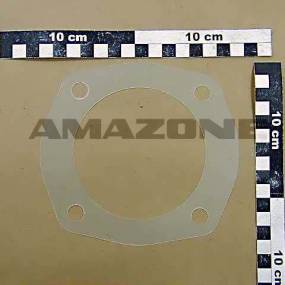 Pa-Scheibe-Gt*30*0,25 Amazone 952181