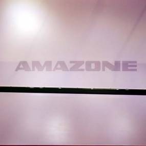 Abstreifer Verstaerkt 1800 (05/K3) Amazone 991855