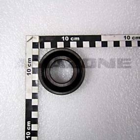 Rillenkugellager Amazone CA066