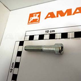 Zylinderschraube Iso 4762 10X55 8.8 Vz Amazone DA796